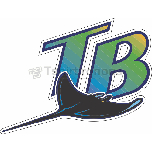 Tampa Bay Rays T-shirts Iron On Transfers N1942 - Click Image to Close